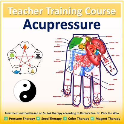 Picture of Teacher Training course on Acupressure